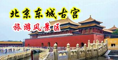 欧美日逼BBW中国北京-东城古宫旅游风景区