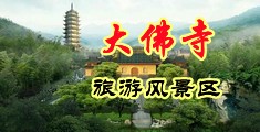 把手差入女人的www网站中国浙江-新昌大佛寺旅游风景区